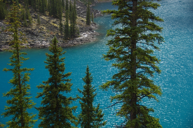 Banff NP 'Moraine  Lake - Tower of Babel' 16_09_2011 (22).JPG
